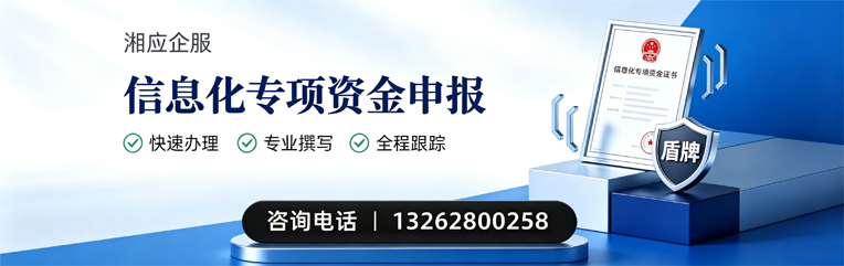 黄石信息化专项资金申报服务