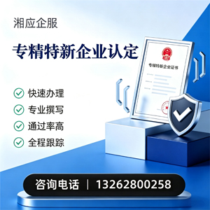 黄石专精特新企业申报服务