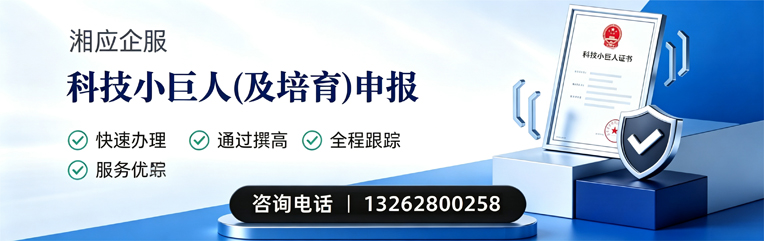 黄石科技小巨人及培育企业申报服务