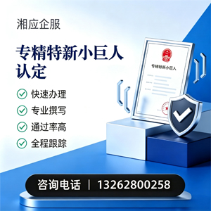 黄石专精特新小巨人申报服务