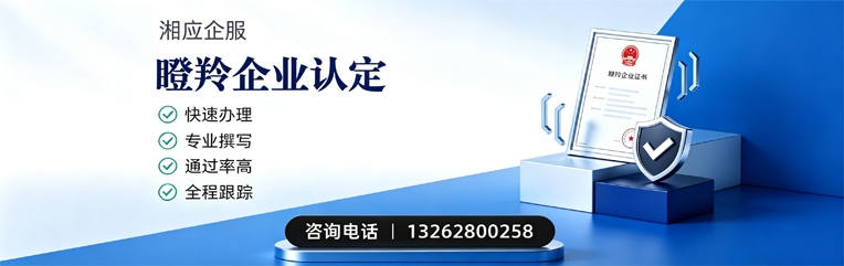 黄石瞪羚企业认定申报服务