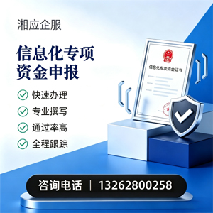 黄石信息化专项资金申报服务