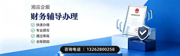 黄石财务辅导申请服务