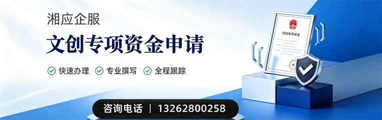 黄石文创专项资金申报服务