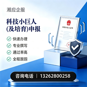 黄石科技小巨人及培育企业申报服务