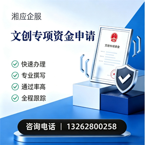 黄石文创专项资金申报服务