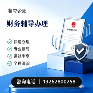 黄石财务辅导申请服务