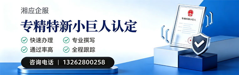 黄石专精特新小巨人申报服务